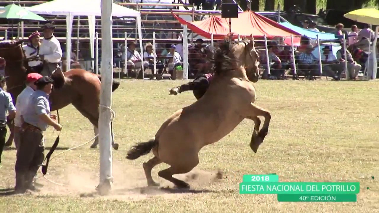 4 Sábado Rueda de Clina.