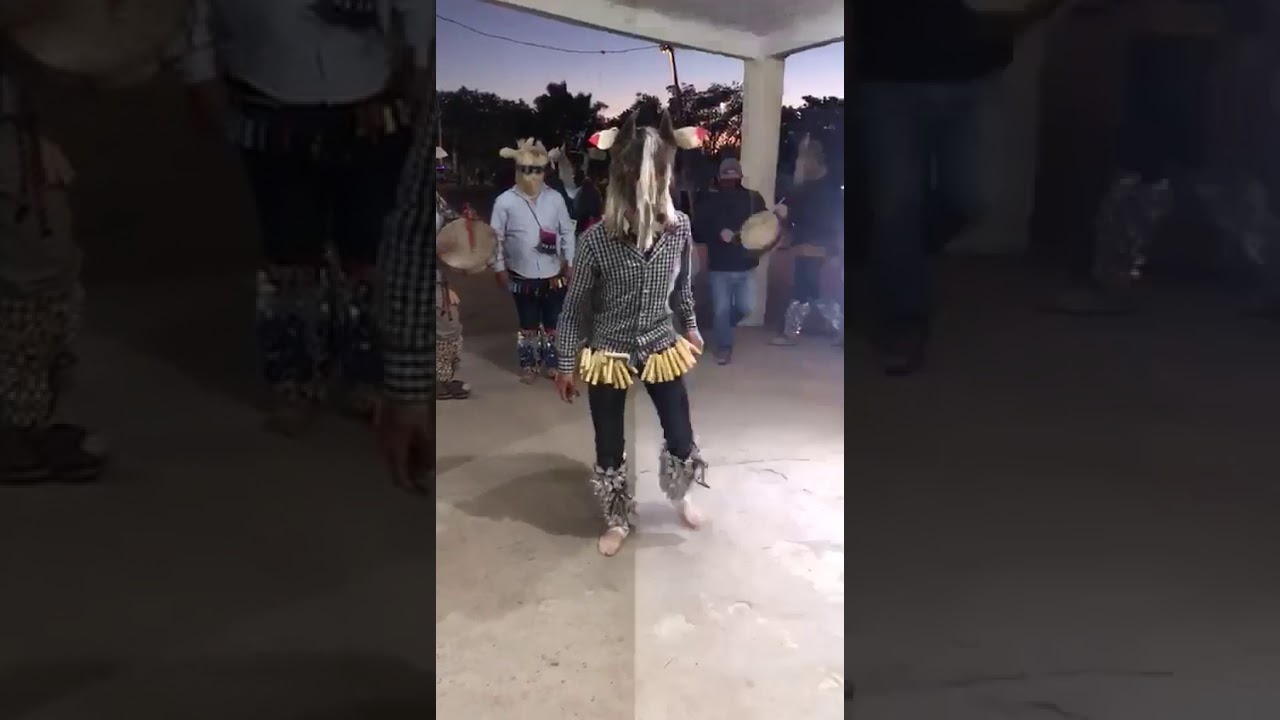 Fariseo bailando excelentes pasos👍😃