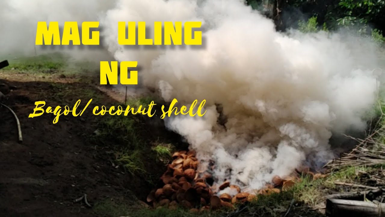 Proseso kung paano mag uling ng bagol/coconut shell by Mikee Palmis