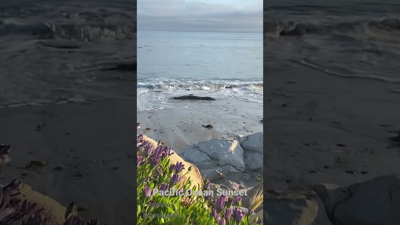 Pacific Ocean Sunset