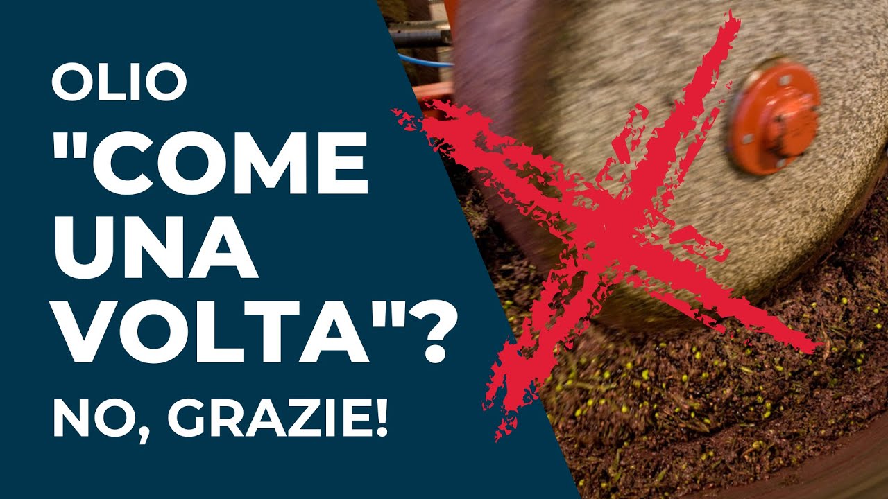 OLIO 