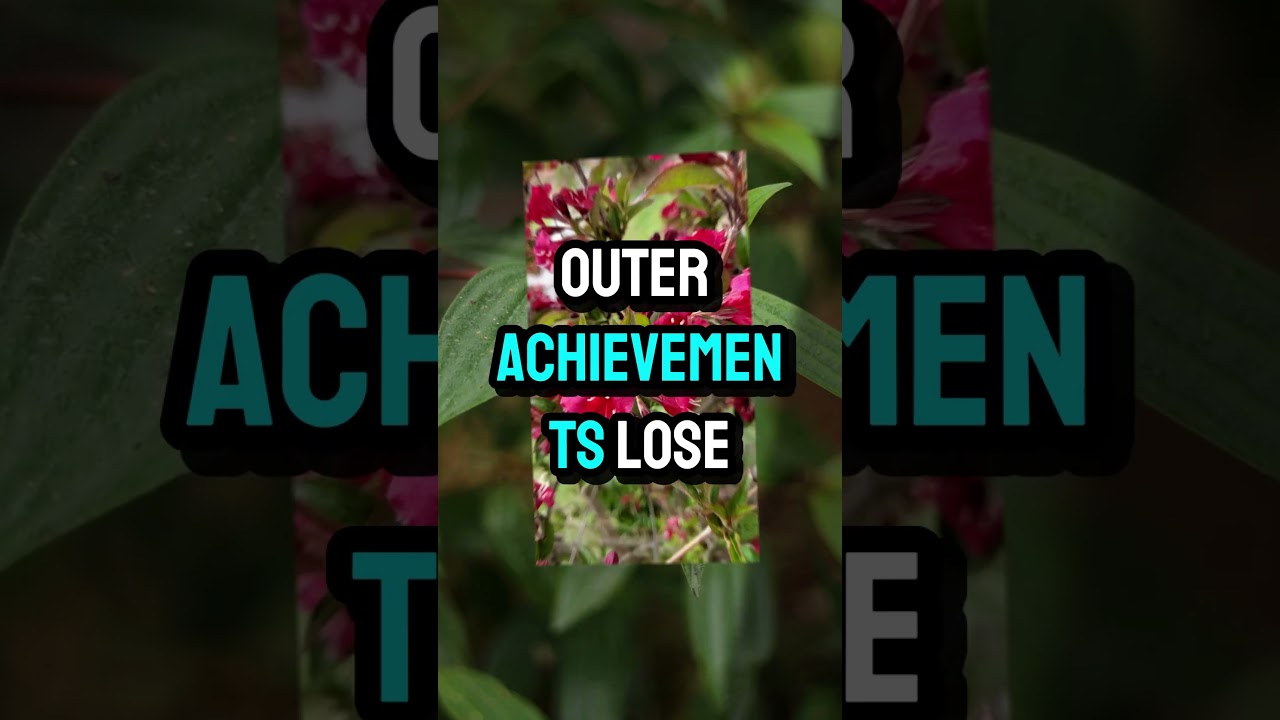 focus within transform your life forever jordan peterson best motivation speech #awakenmindset