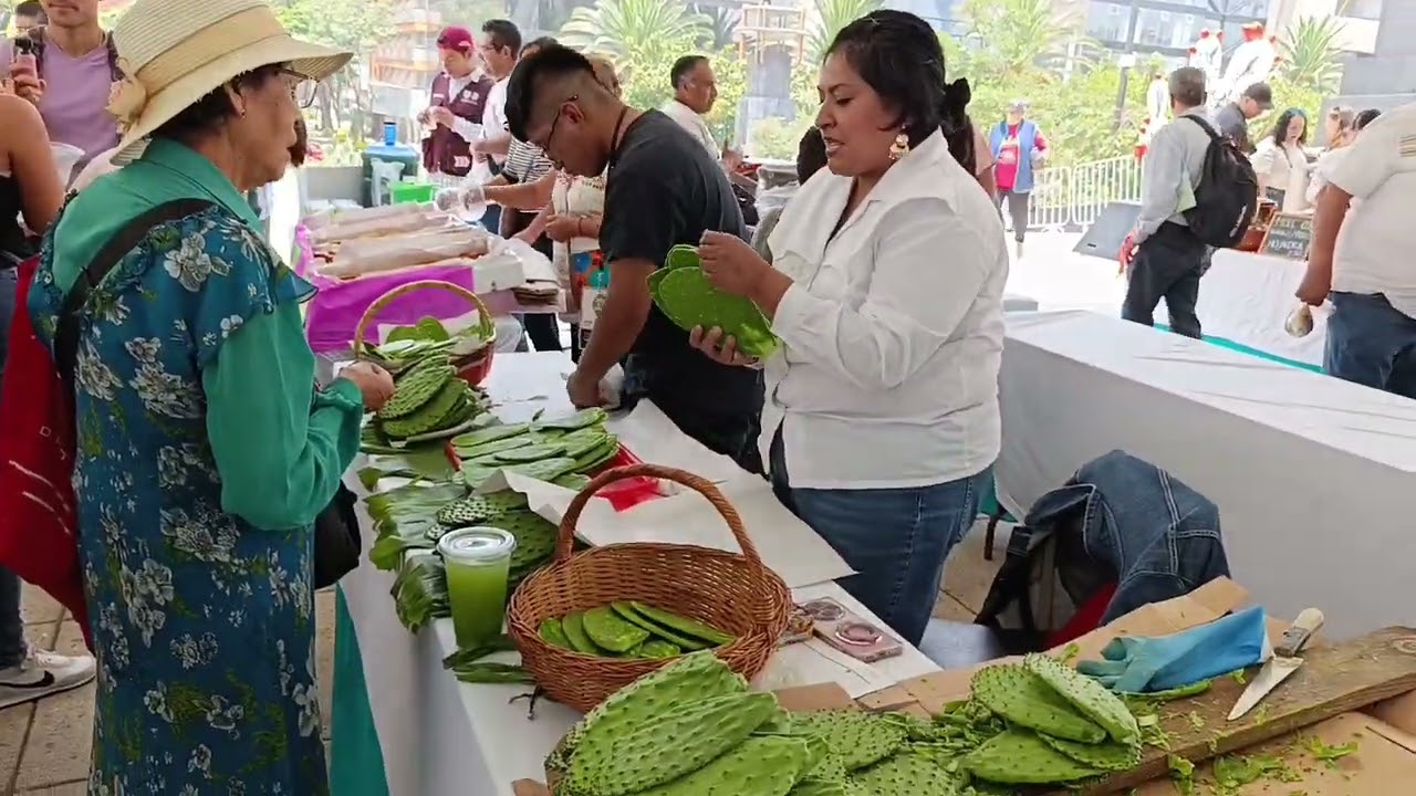 Feria del Nopal 2025