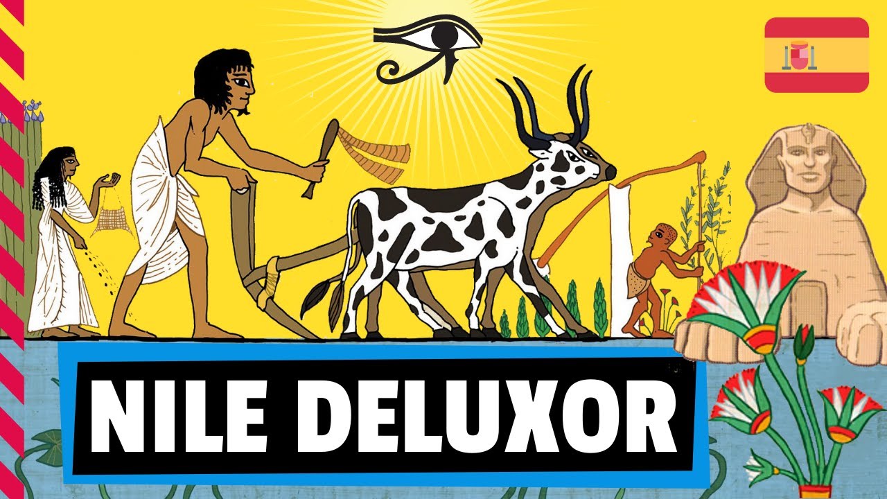 NILE DELUXOR Juego de mesa - Cómo se juega / Reseña / Tutorial (Español)
