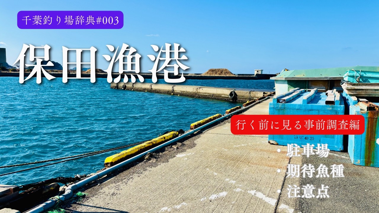 保田漁港 釣り場ガイド｜駐車場・釣れる魚・注意点まとめ【千葉釣り場辞典#003】