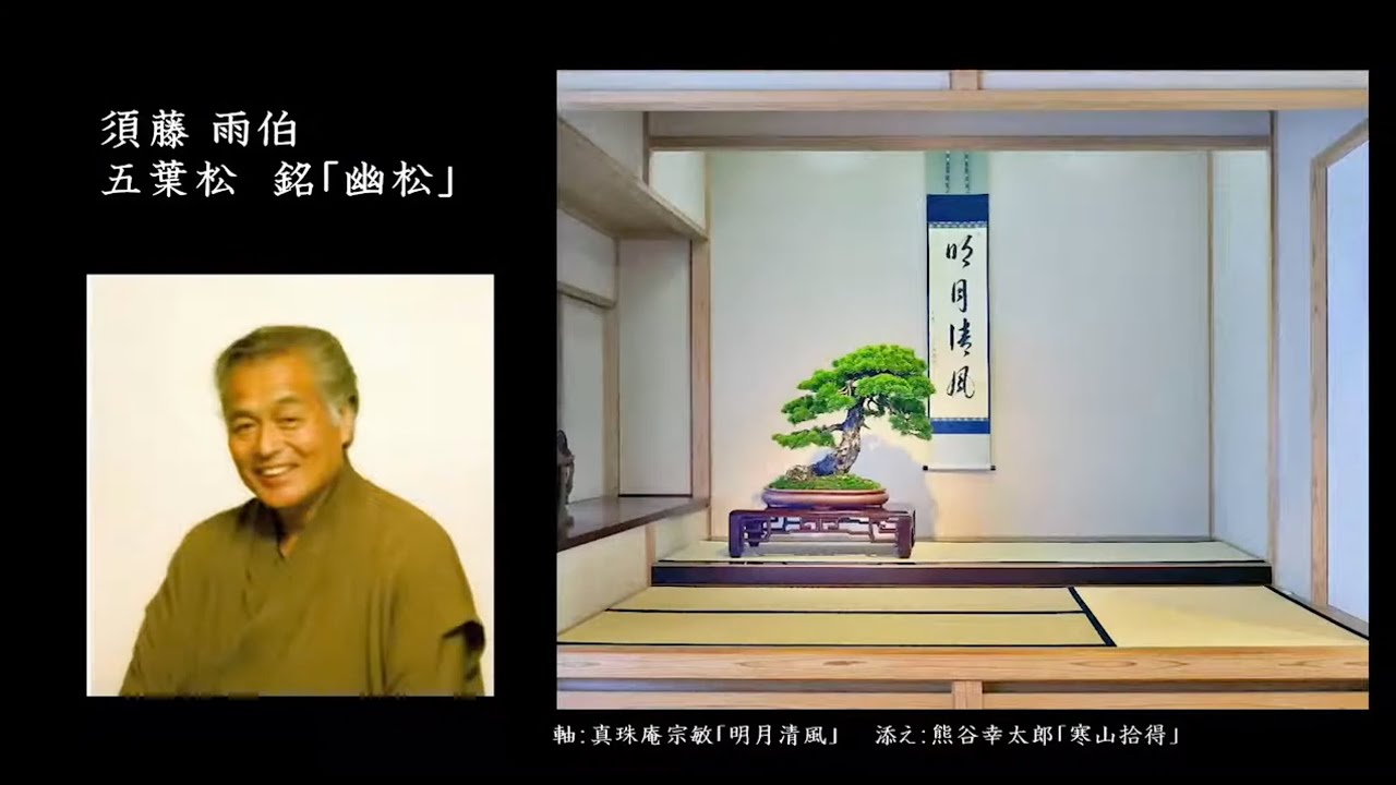 UHAKU SUDO & KUNIO KOBAYASHI: the pursuit of bonsai beauty leads to important trees.