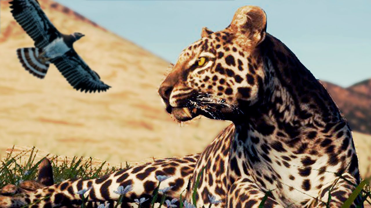 O Elefante Pisou no Filhote! Família Leopardo + Sobrevivência Arriscada | Animalia Survival | PT/BR