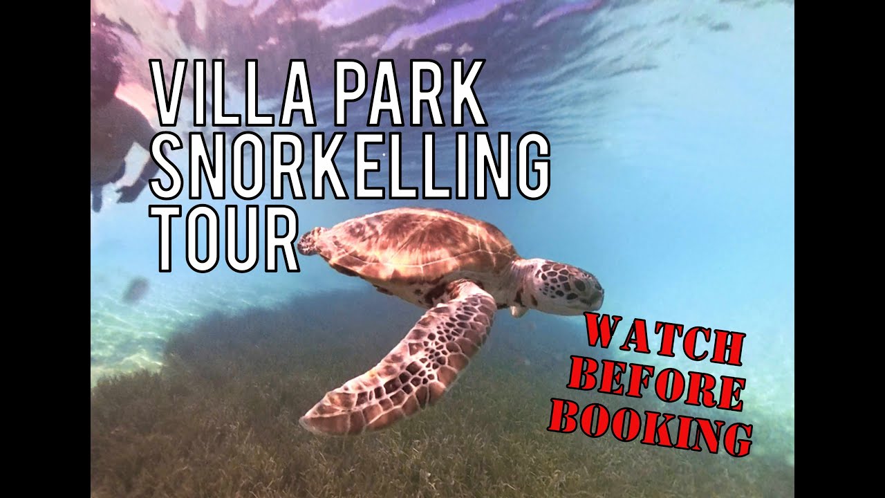 Villa Park snorkelling Tour | Maldives | Murphy Digital #villapark #maldives #snorkelling