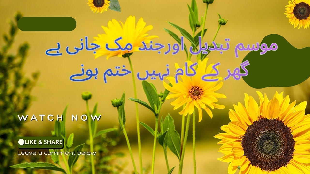 ایسے لگ رہا ہے وقت پر لگا کر اڑ رہا ہے ۔بہت مصروف دن گزر رہے ہیں 