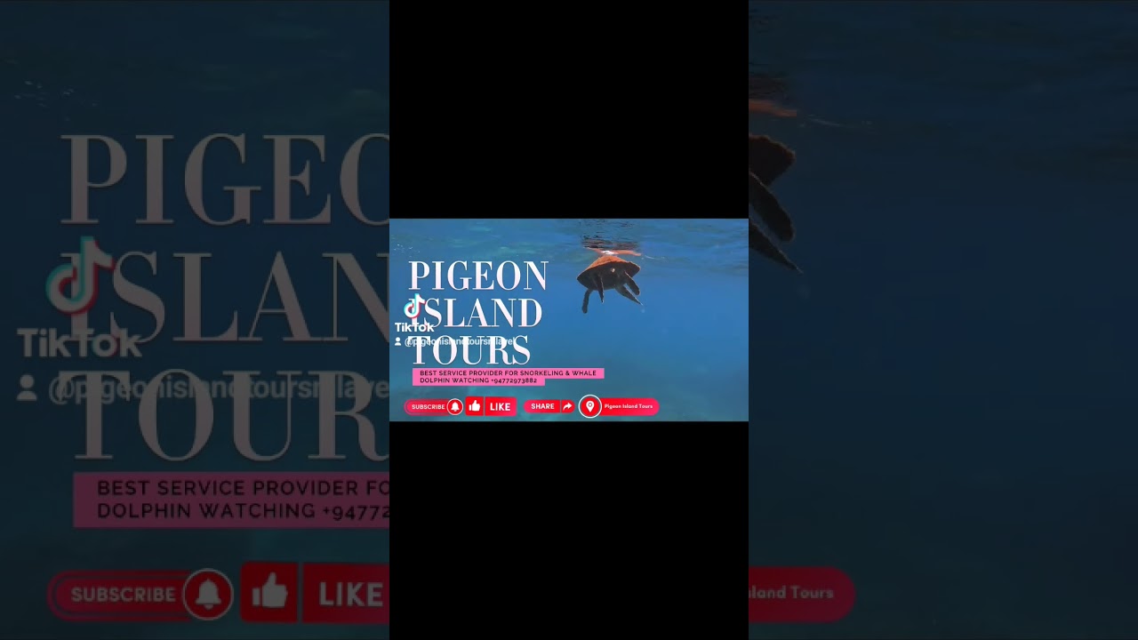 Explore Pigeon Island Sri Lanka #snorkeling #travel