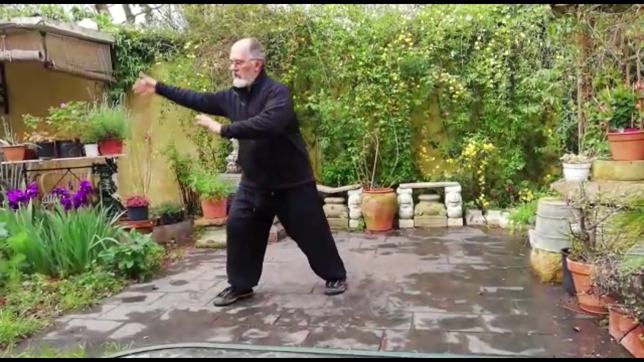 Introducción al Tai Chi Chuan 2: Las 8 Puertas de Poder