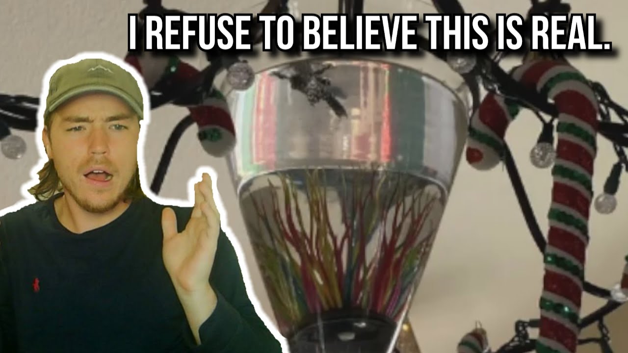 Fish Tank in Chandelier: Trashy or Classy?