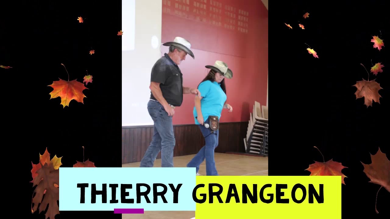 TV REPAIR  DE THIERRY GRANGEON