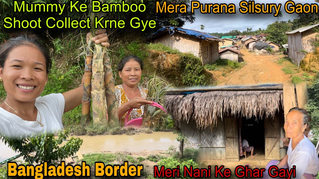 My Village Tour Near Bangladesh Border || Meri Nani Ke Ghar Gaye || Collect Wild Bamboo Shoot 