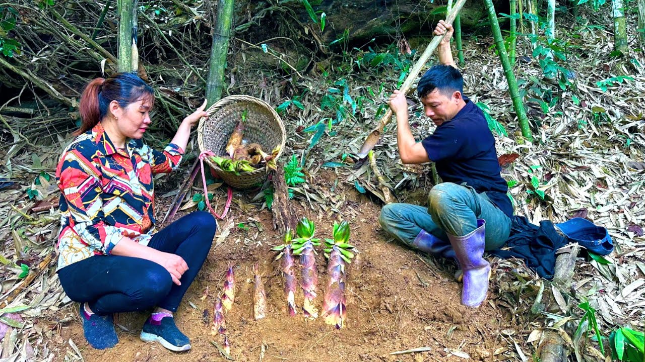 Together Dig and harvest bamboo shoots to sell - Build a beautiful new life in 2024