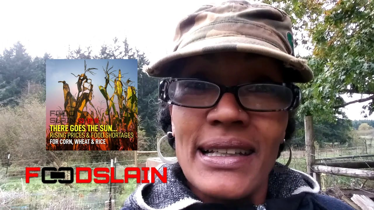 Rising Food Prices & Global Food Shortages (Again) In 2020-2021 | Season Finale | Food Slain Podcast