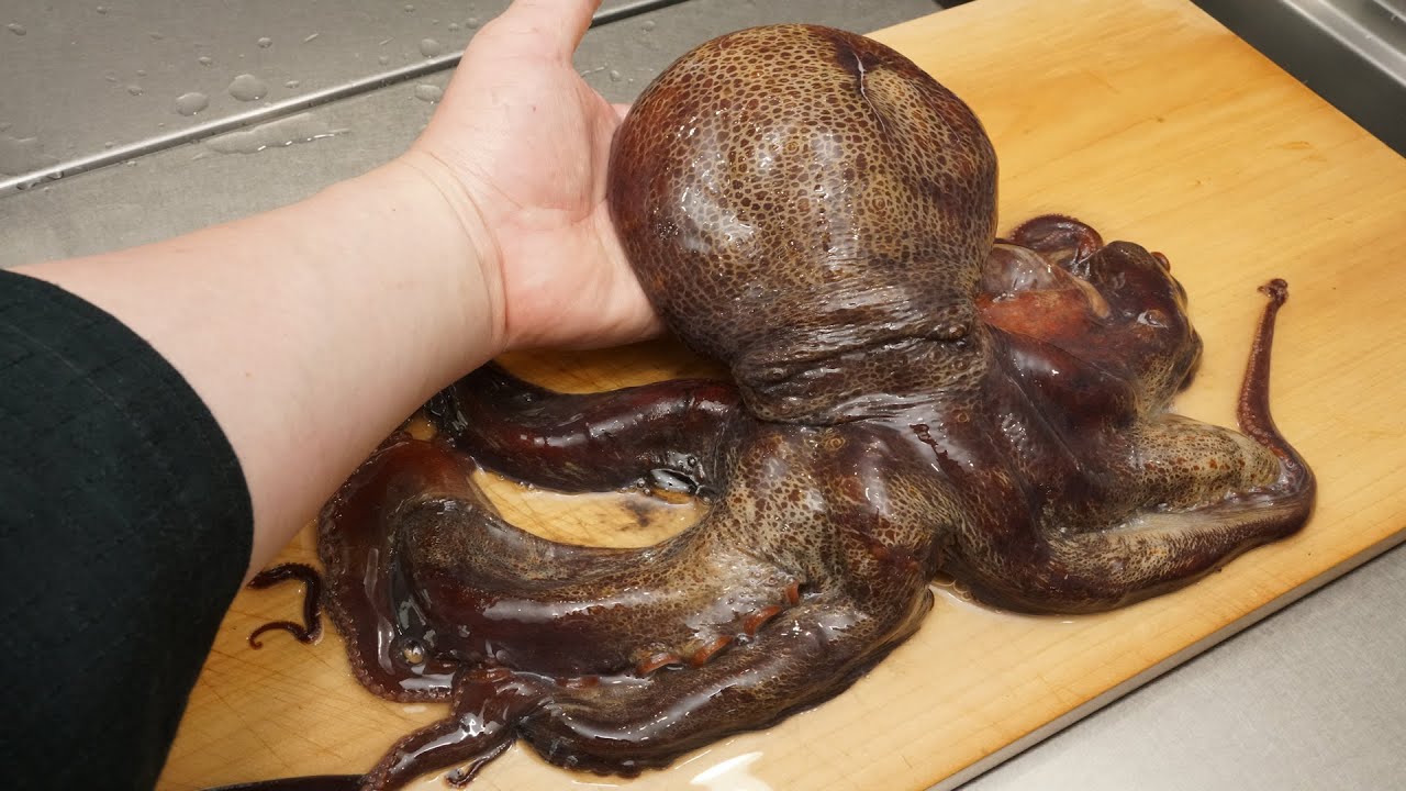 タコのさばき方と刺身の作り方（下処理の塩もみと茹で方）