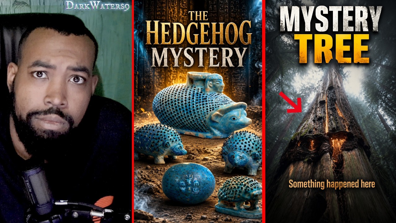 Mysterious Videos That Broke My Understanding!