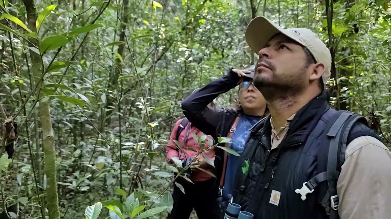 Monitoreo y aviturismo comunitario en Montebello, Chiapas, México.