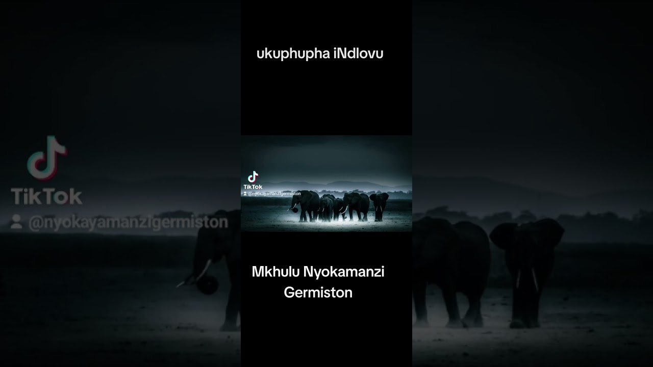 Mkhulu Nyokamanzi Germiston