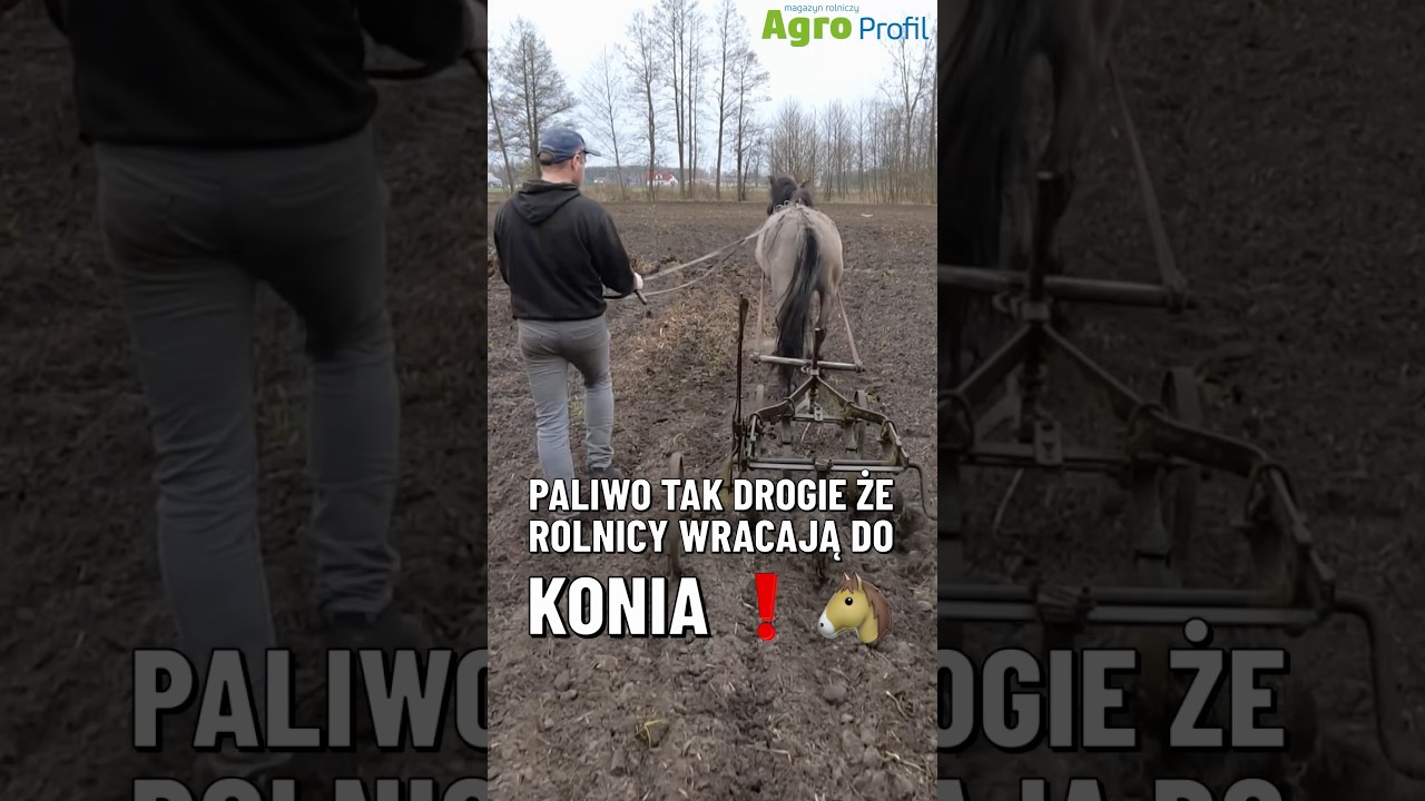 Rolnicy mają dość drożyzny na stacjach i wracaj do konia!