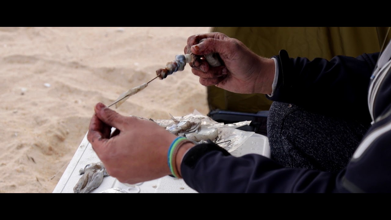 VERCELLI // COMO USAR SEPIA DE CEBO EN SURFCASTING