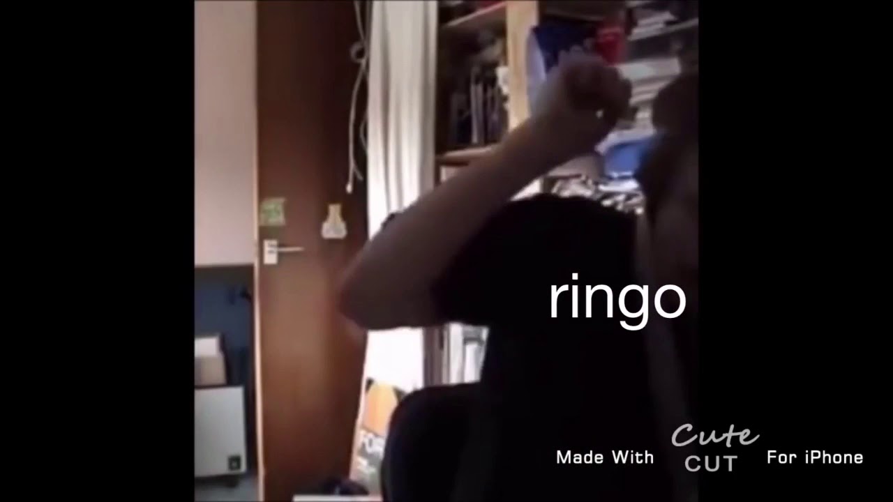 the beatles as vines