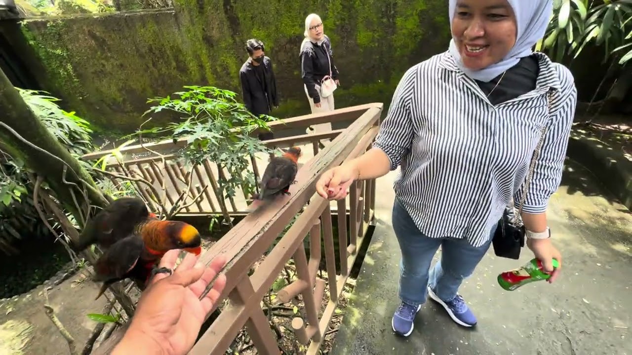 Khayra jalan jalan kekebun binatang#Gembira Loka Zoo#bonbin#jogja