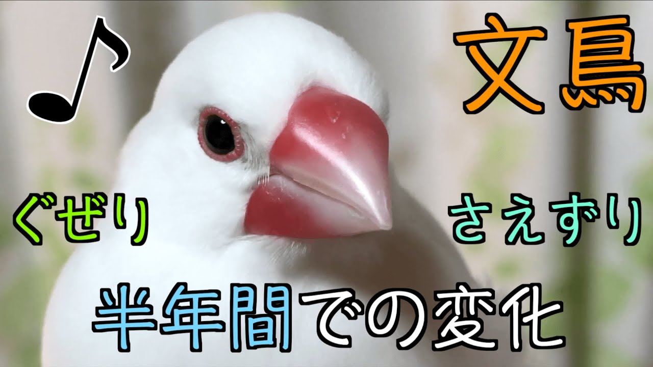 ぐぜりまとめ