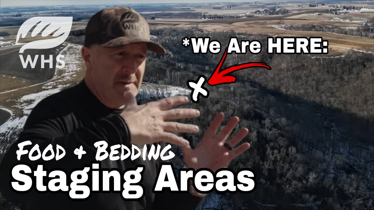 Bedding and Food Staging Area Hunting Setups | Plan Now!