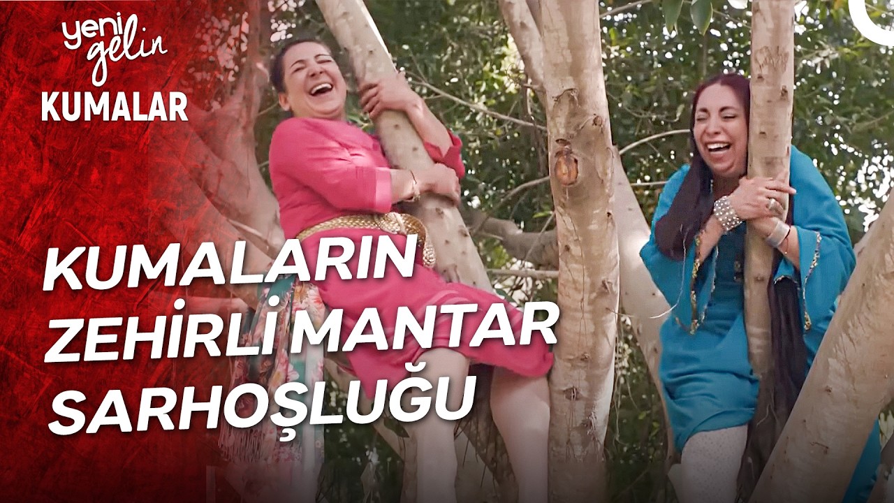 Zehirli Mantar Yiyen Kumaların Son Hali 😅