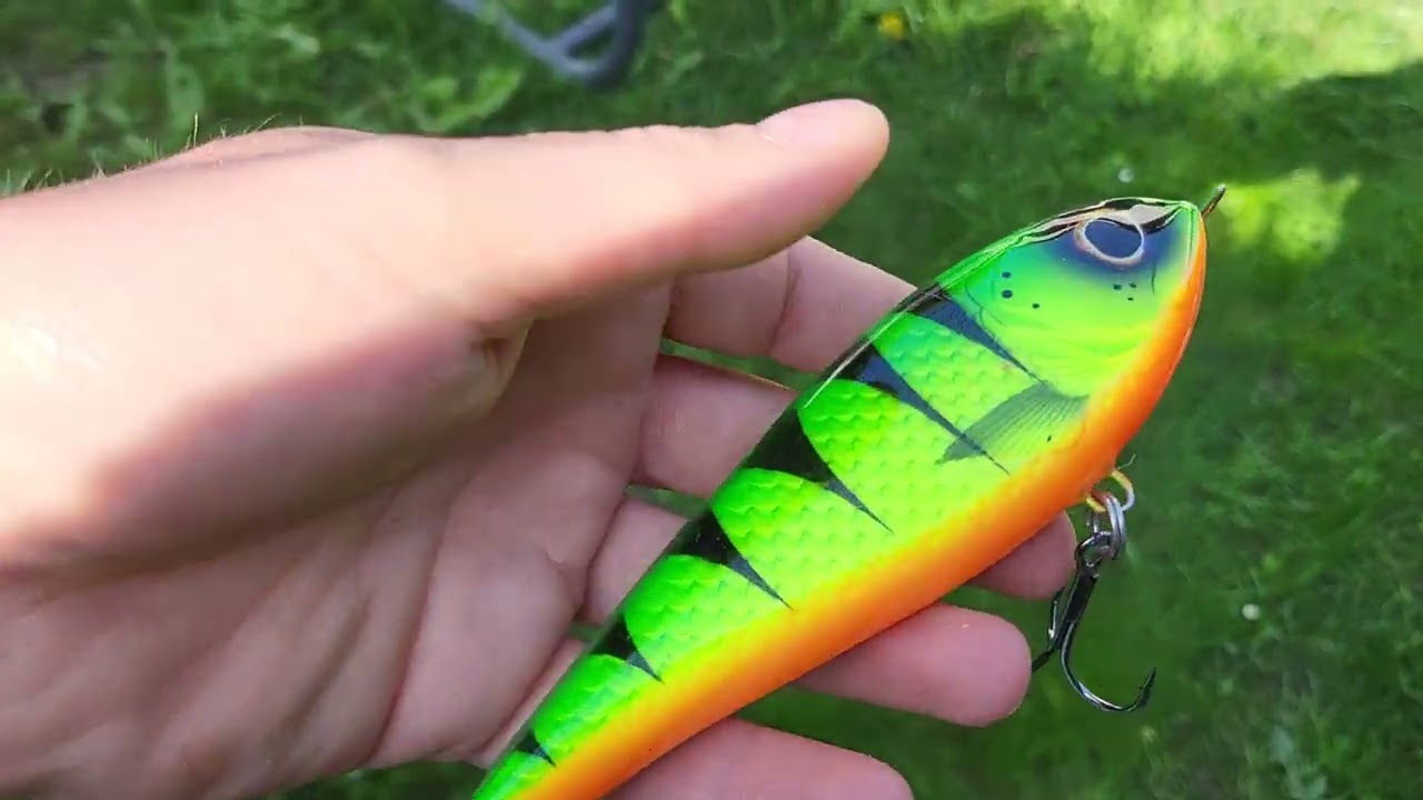 Venom Fluo Tiger