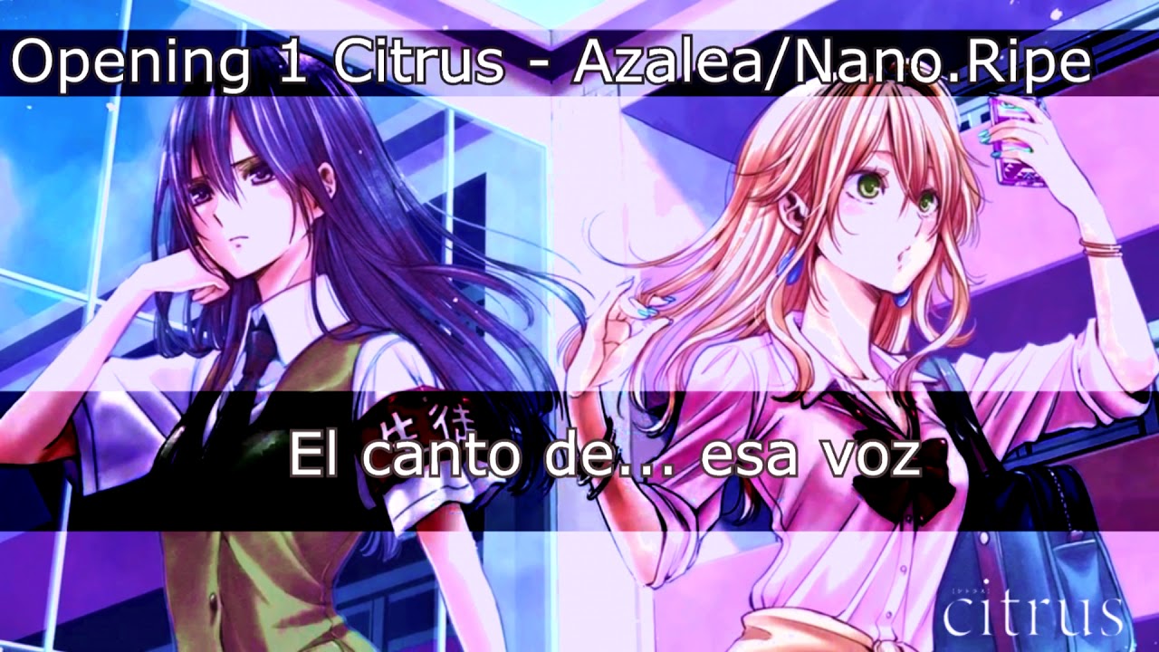 Citrus Opening Cover (Español Latino) -Fandub-