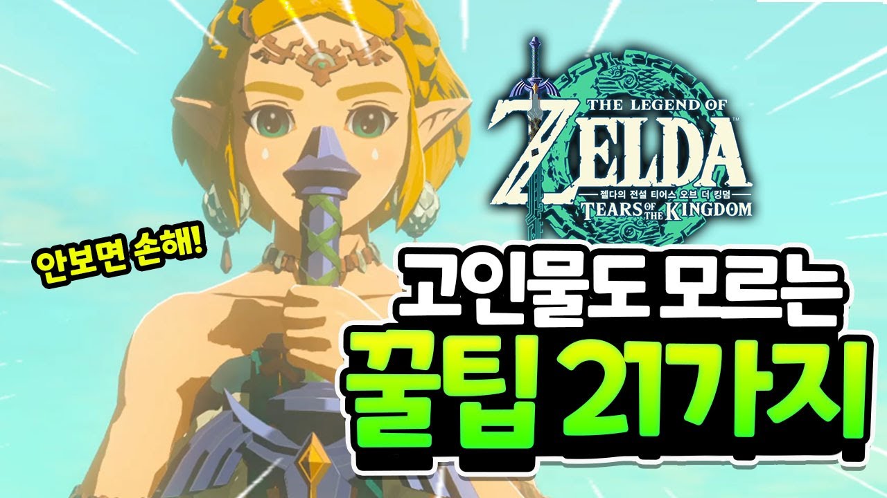 고인물들도 잘 모르는 21가지 꿀팁!! 안보면 손해라능~[젤다왕눈]