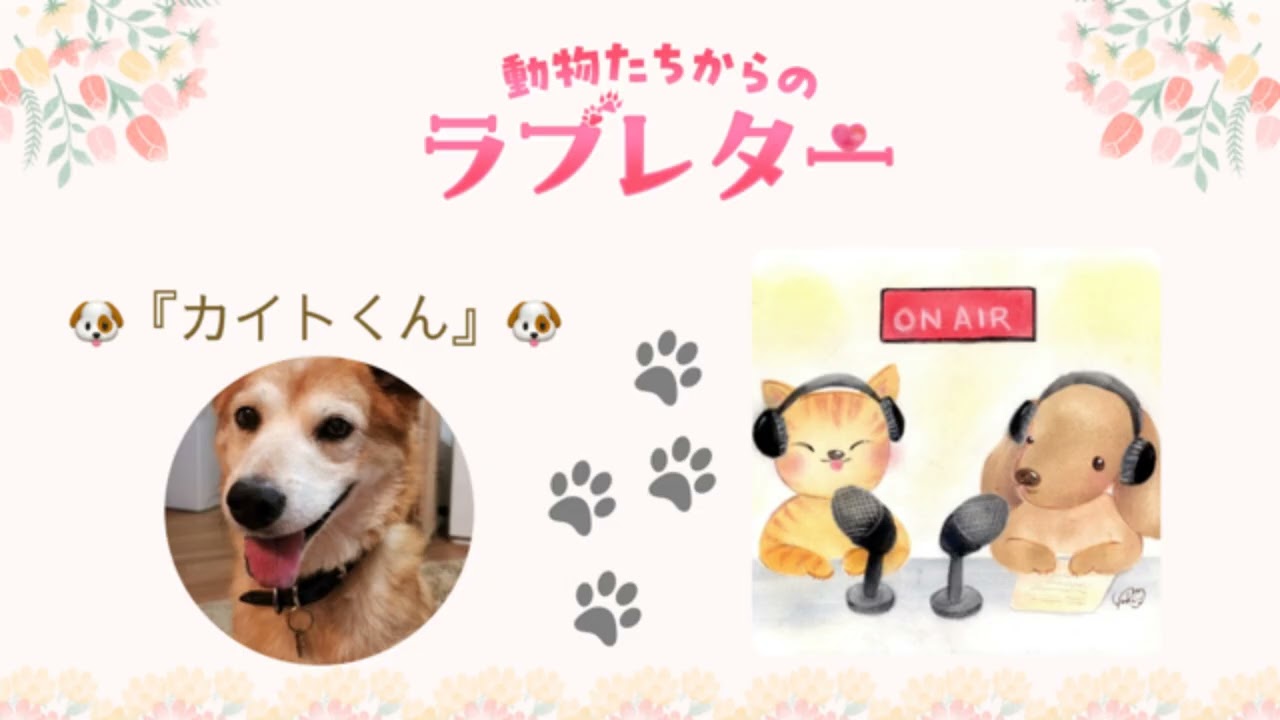 動物たちからのラブレター５２