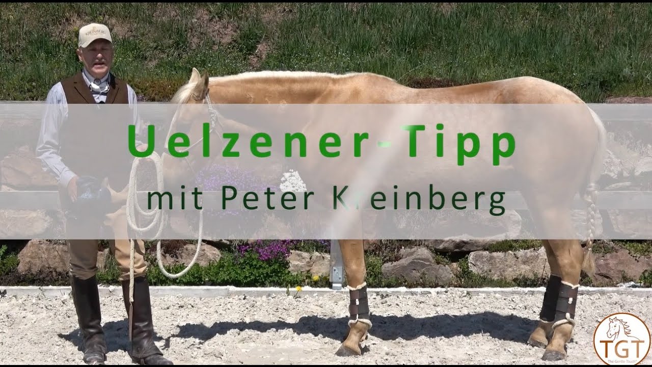 Anti-Schreck: Ohren-scheu | Peter Kreinberg Uelzener-Tipp