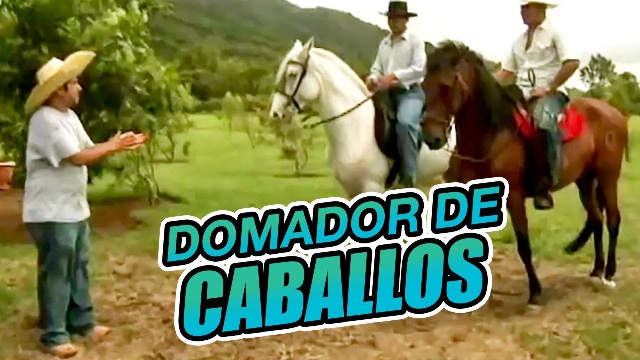 Agapito Díaz  -  Domador de caballos