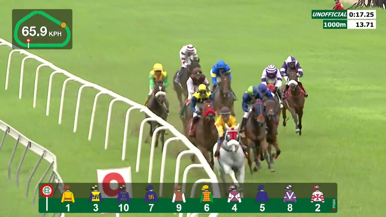 HRC Races 22nd July 2024 Race 7