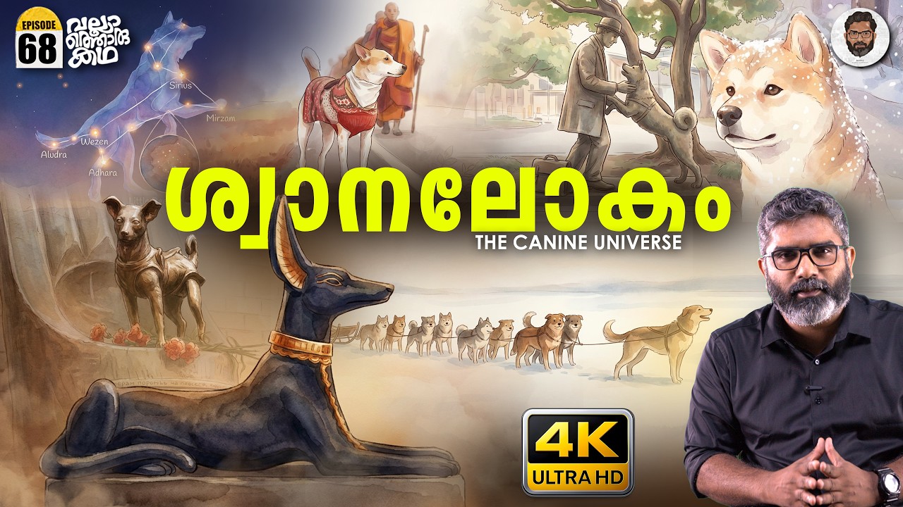 നായ മനുഷ്യന്റെ നിഴലായ കഥ - Dogs: Evolution, Loyalty & Science | Vallathoru Katha EP 68