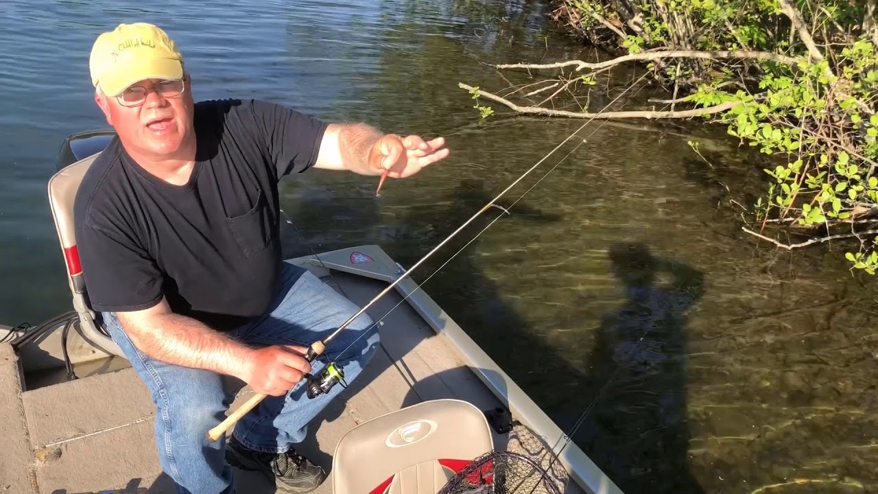 Connecticut Panfish Primer &ndash; Fishing Tips, Tackle, and Tactics