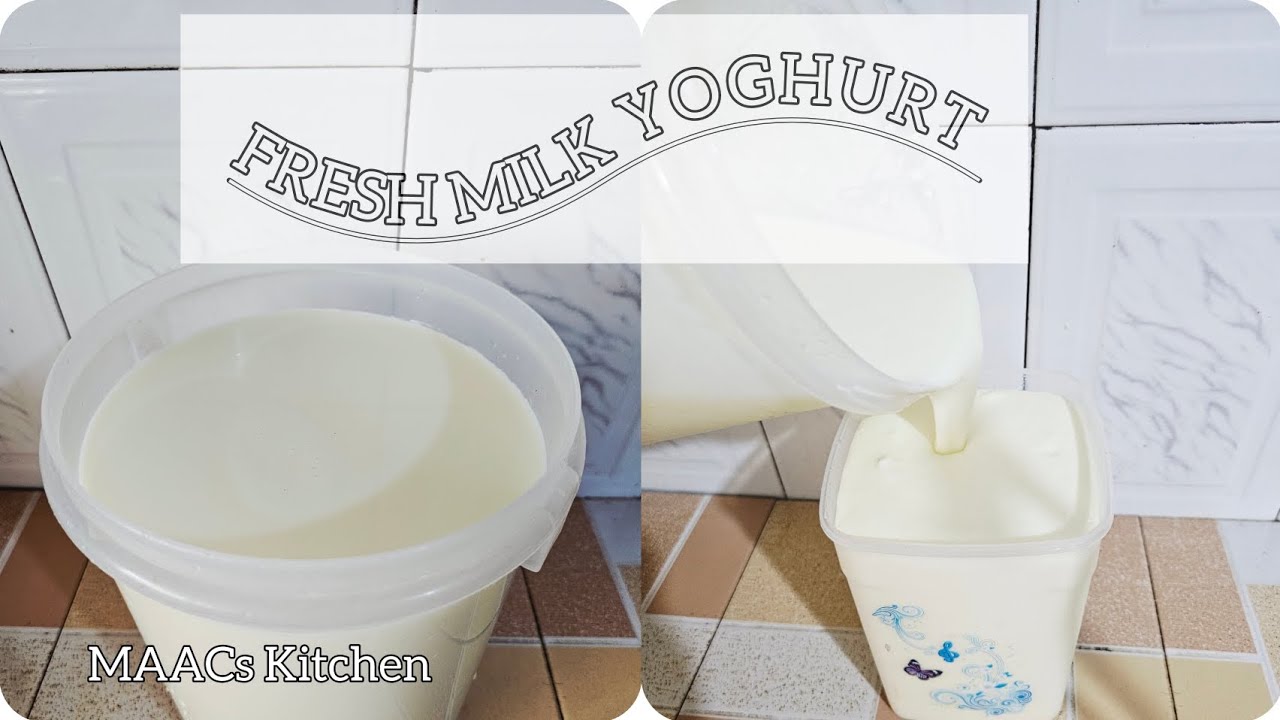 Using Fresh Cow Milk To Make Yogurt 