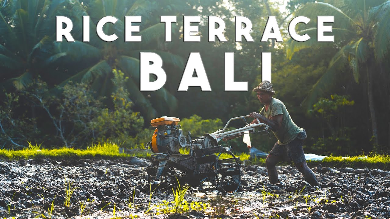BALI’S MOST BEAUTIFUL PLACE - Hidden Rice Field in Ubud