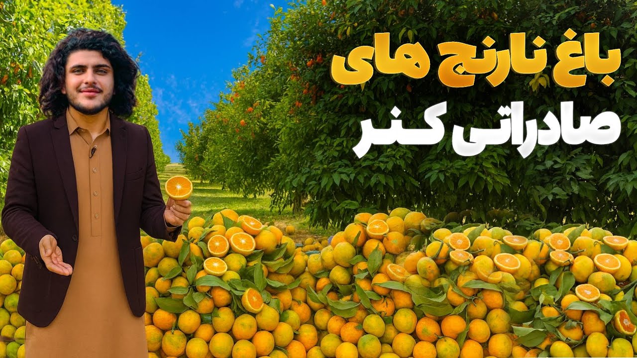 هی میدان طی میدان - دیدار باسط ایرج از باغ های نارنج در ولسوالی سوکی کنر