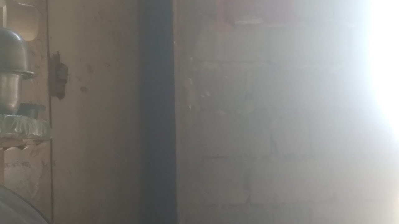 Gold medalist viral video