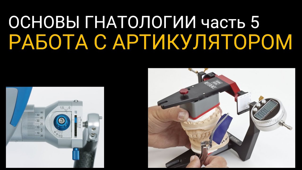 ОСНОВЫ ГНАТОЛОГИИ часть 5 РАБОТА С АРТИКУЛЯТОРОМ