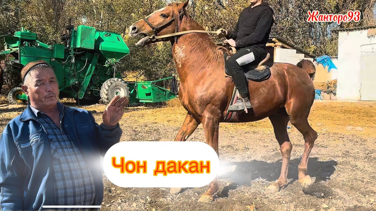 Дакан   Тел:+996558590052   10 ноября 2025 г.