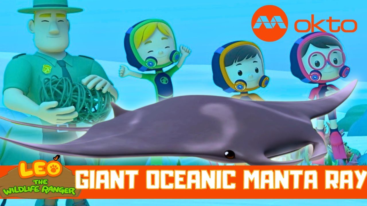 GIANT manta rays are HARMLESS? | Leo the Wildlife Ranger Spinoff S5E14 | @mediacorpokto