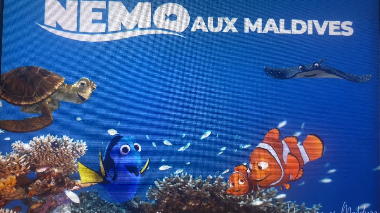 LE MONDE DE NEMO et LE MONDE DE DORY Collection