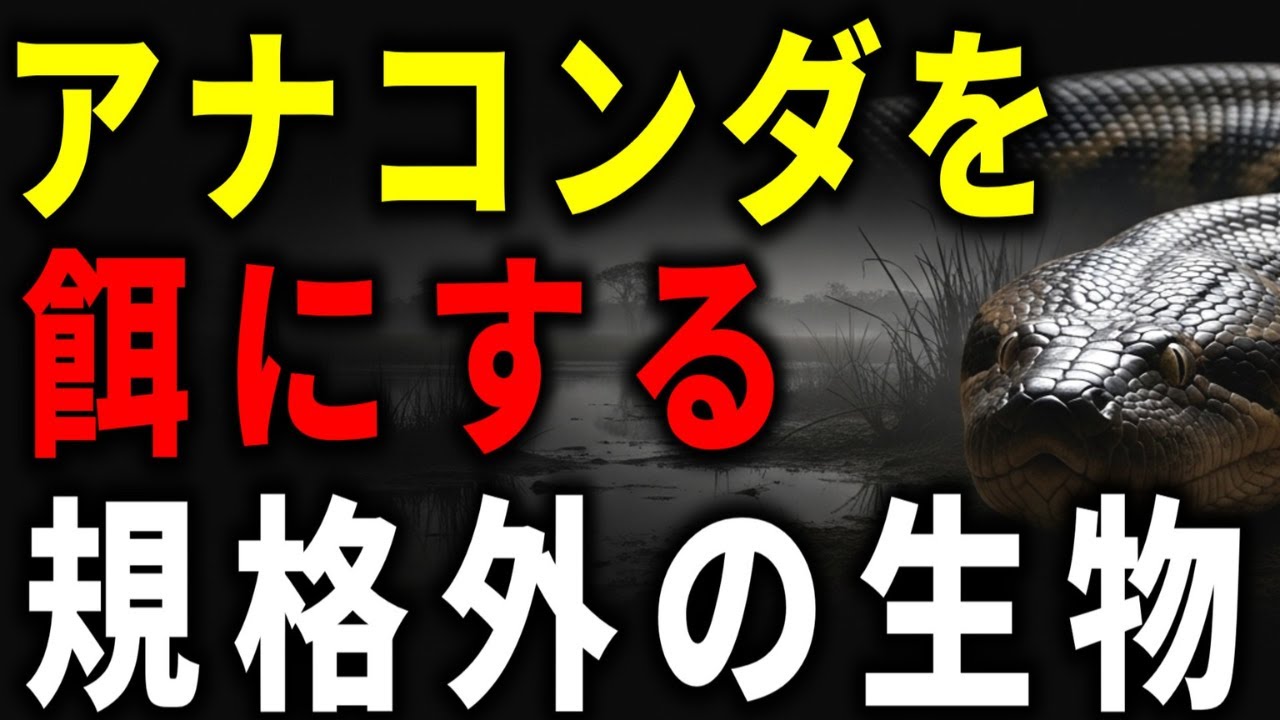 【巨大蛇】アナコンダを喰らう意外な強敵4選