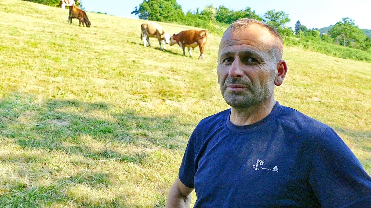 Napravio najmoderniju farmu u Srednjoj Bosni, vile za đubrivo ne koristi nikako